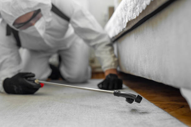Professional Bed Bug Control technician working in Bluff City, TN