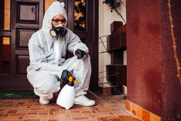 Reliable Bed Bug Control contractor in Bluff City, TN by Nex Pest Control