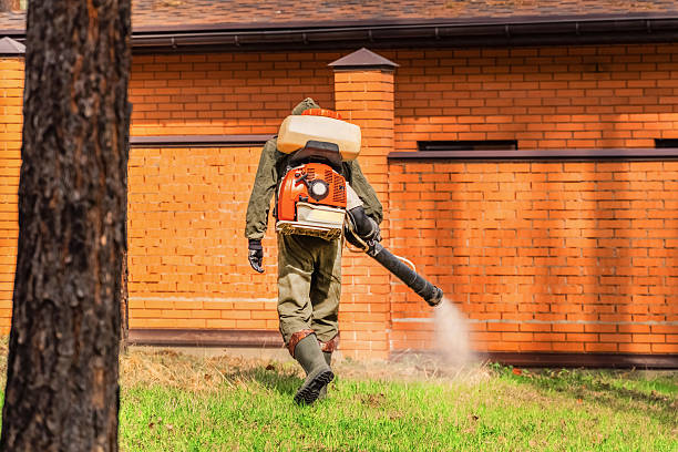 Trusted Cockroach Control service in Bluff City, TN - Nex Pest Control